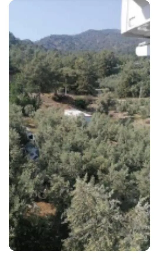 Elif-Su1 Villa Fethiye 0*,  Turkey